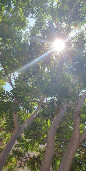 Al giardino di Cò, Palermo